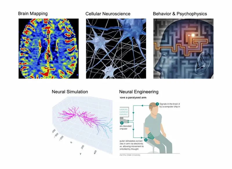 concrete examples of current research using matlab